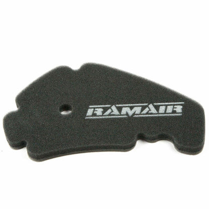 RFP-103 - Filtro de Aire de Panel de Repuesto para Scooter Moped de la marca Ramair.